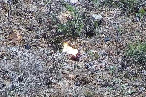 遼寧旅順某地手雷激光銷(xiāo)毀